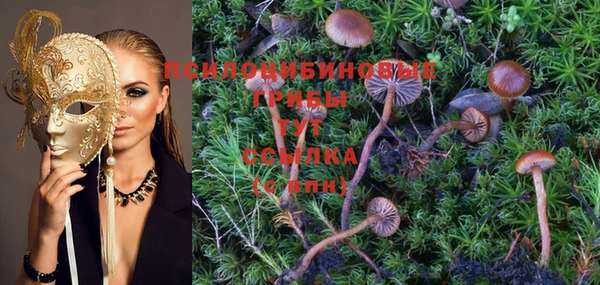PSILOCYBIN Алексин